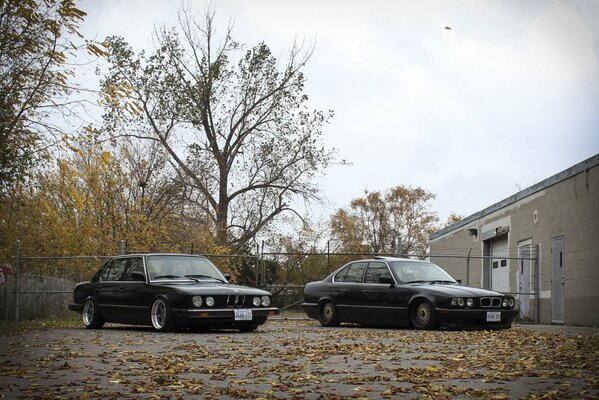 Dos clásicos de BMW en el fondo de la caída de las hojas de otoño