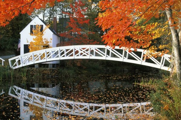 Weiße Brücke über dem Wasser im Herbst