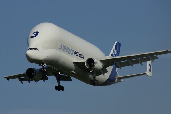 Avion béluga flotte dans le ciel