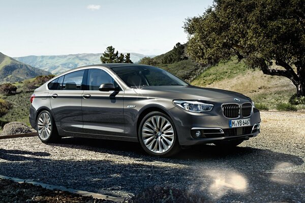 Voiture BMW 535I sur fond de nature