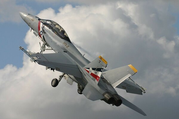 Avión de combate Boeing f18e en el cielo