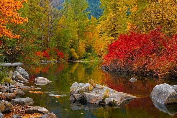 Todos los colores del otoño junto al río