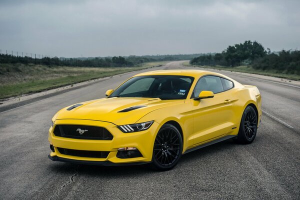 Yellow mustang on the road against a gray sky