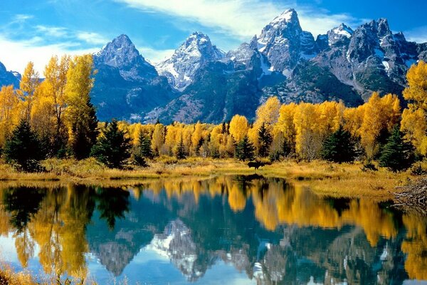 Lago e foresta autunnale sullo sfondo delle montagne