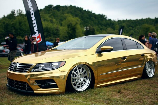 Planted volkswagen passat golden car