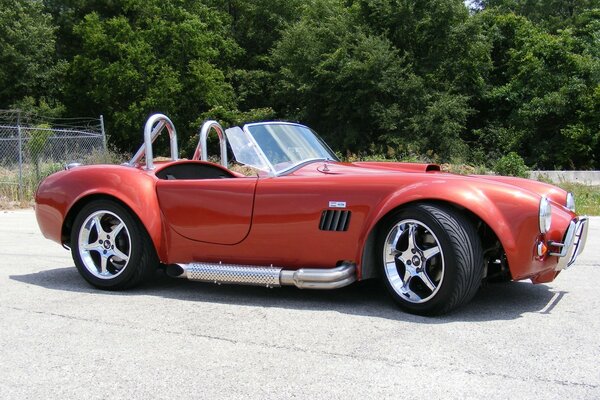 Rouge beau Cobra sportif