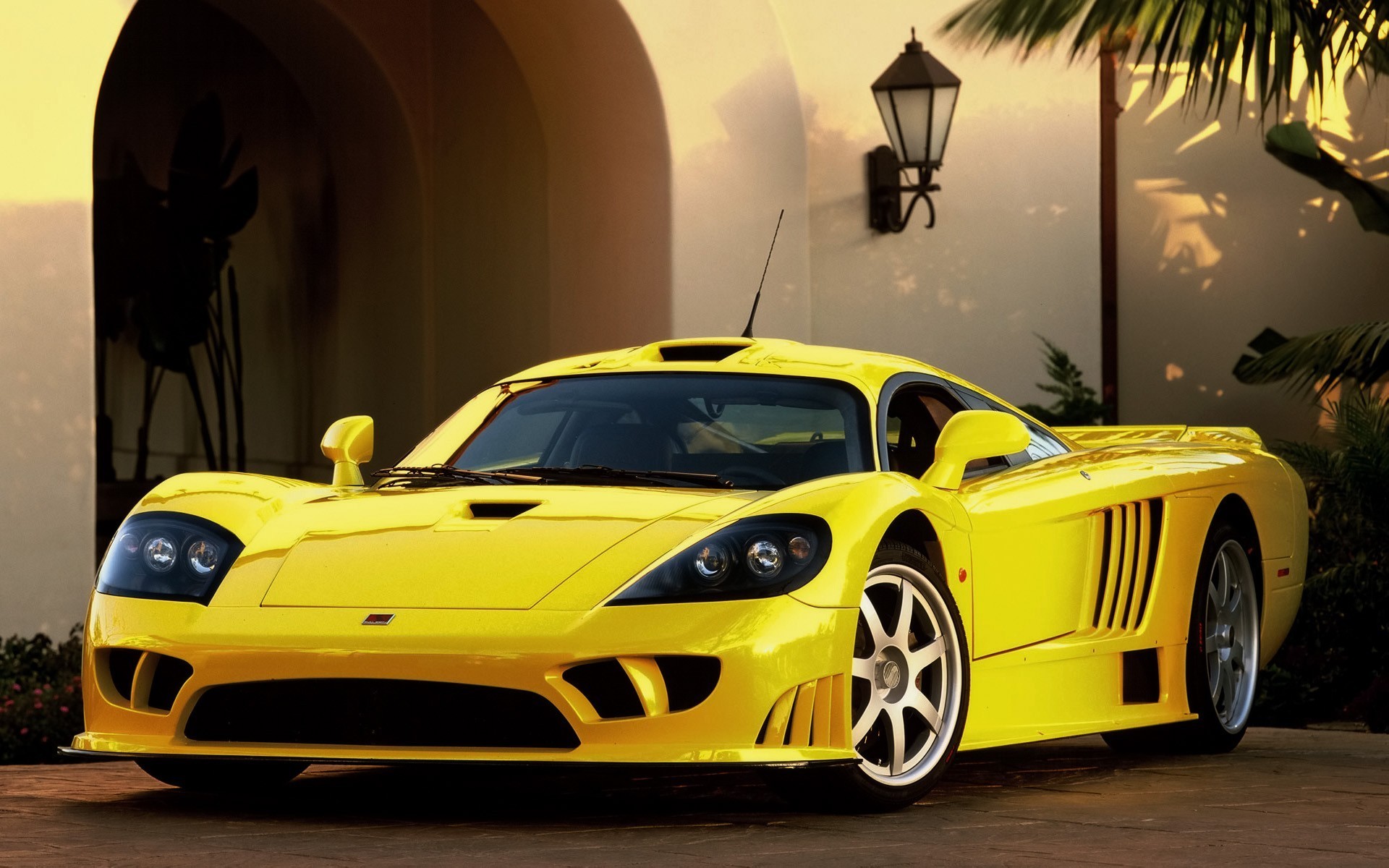 aleen giallo sport