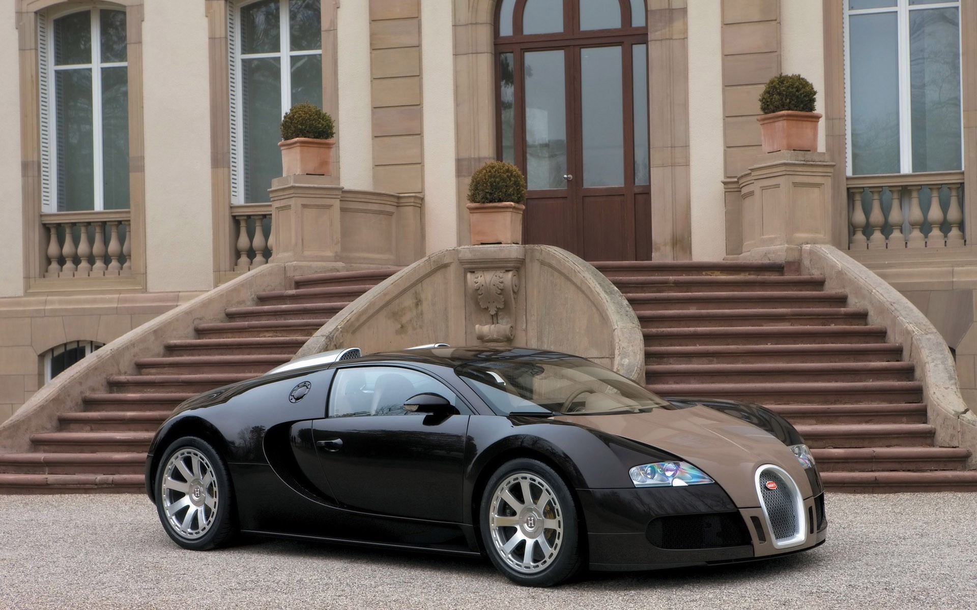 bugatti veyron haus