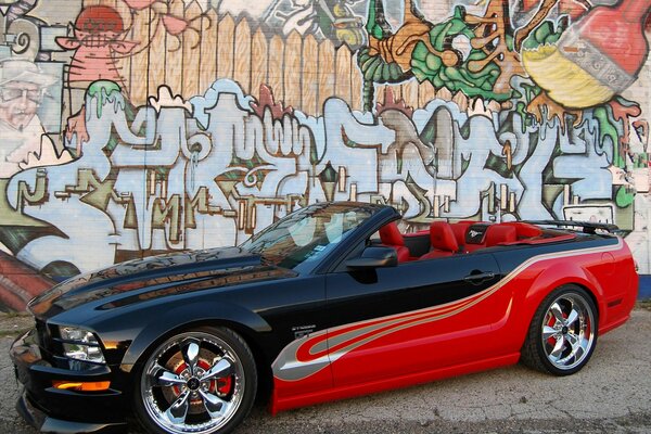 Mustang se combina con el patrón en la pared