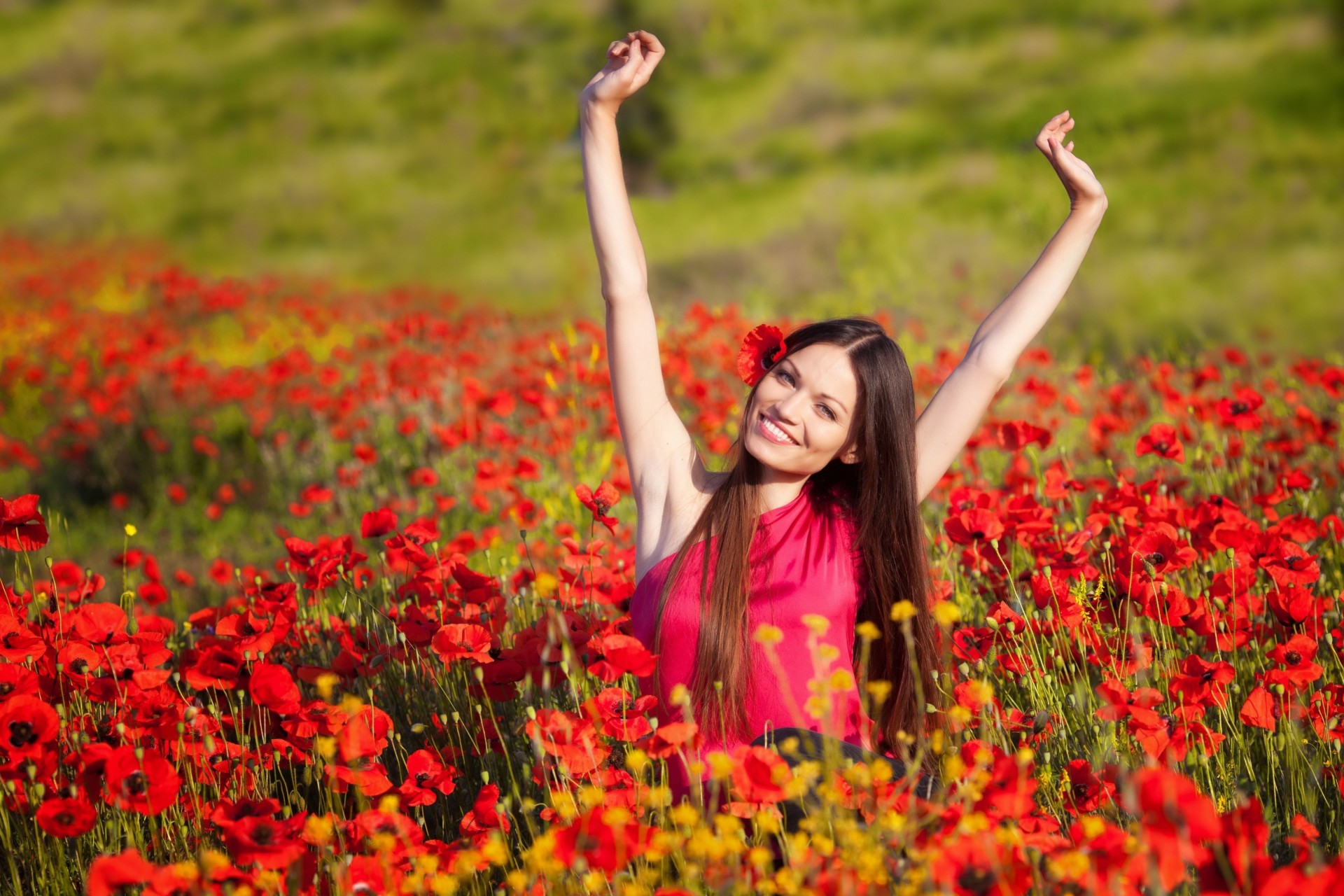 grand écran positif joie fille humeur fond plein écran rouge brune mains champ fleurs. fleurettes