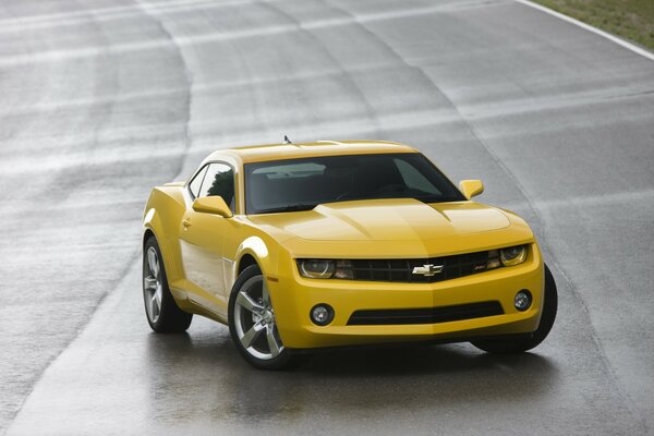 Chevrolet Camaro color amarillo en la carretera