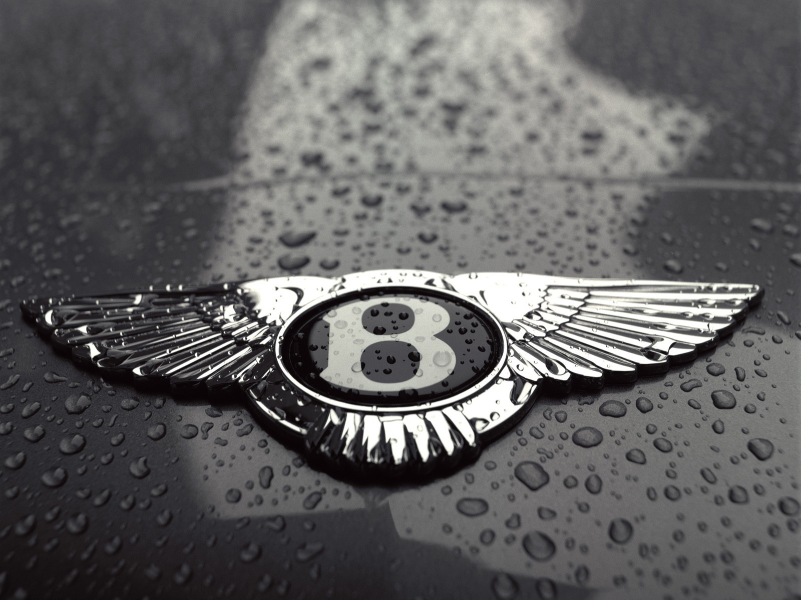 bentley logo tropfen schwarz und weiß