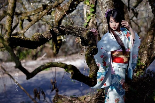 Hottie asiatische Frau im Kimono auf einem Baumhintergrund