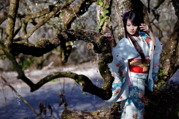 Hottie asiático en kimono en el fondo de un árbol