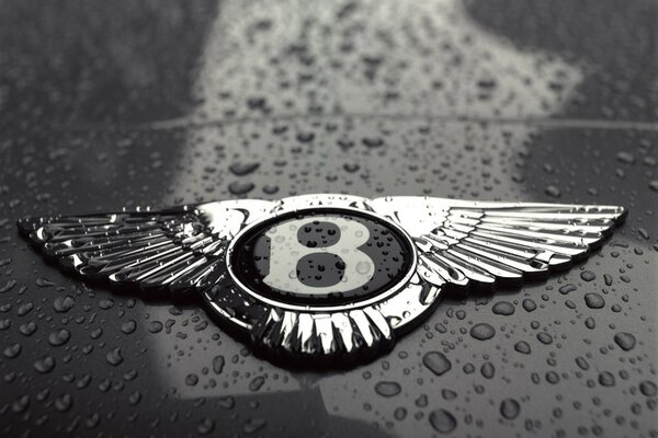 Insigne de voiture Bentley sous la pluie