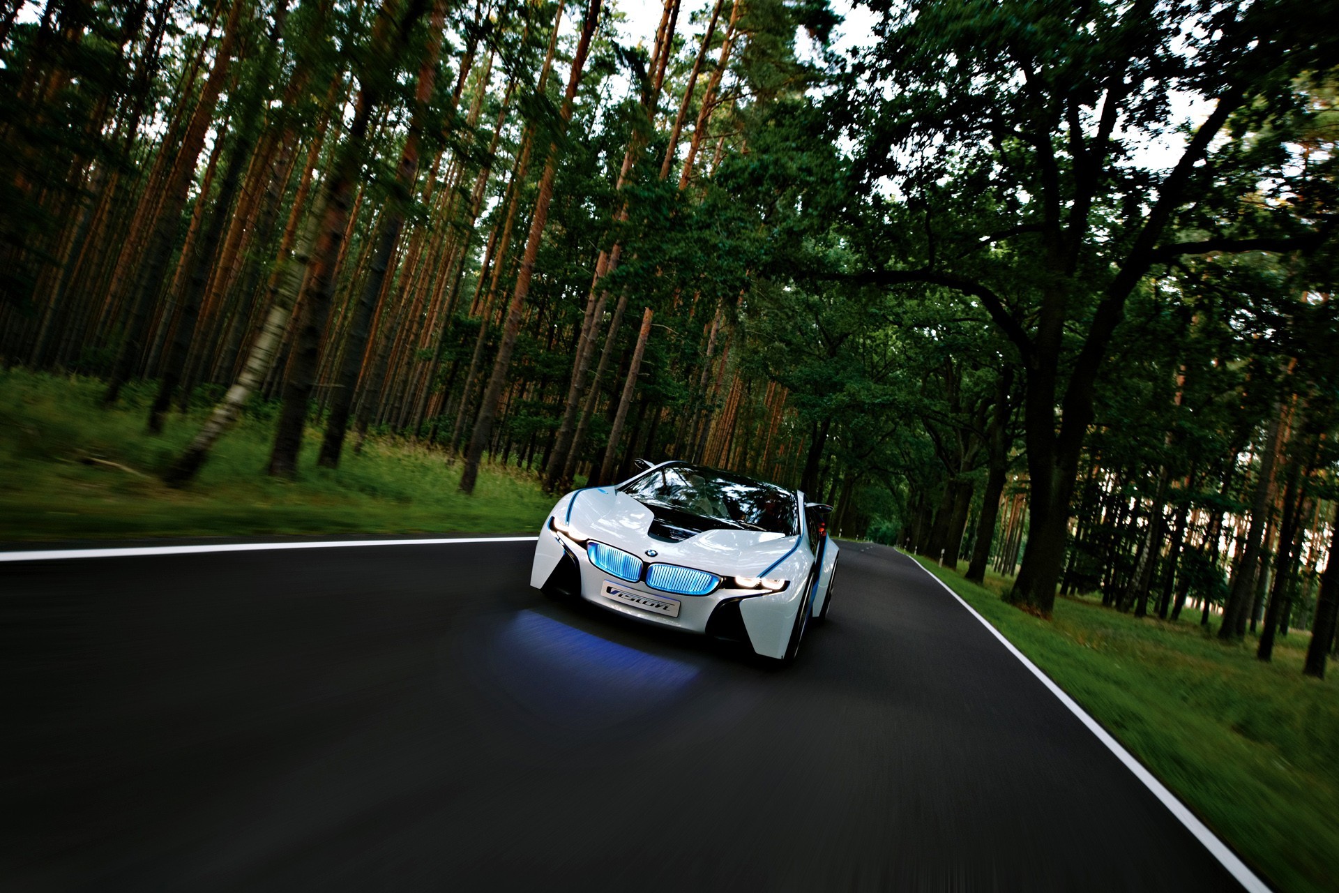 bmw vision konzept wald