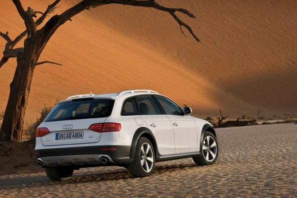 Как поведёт себя Audi в условии пустыни