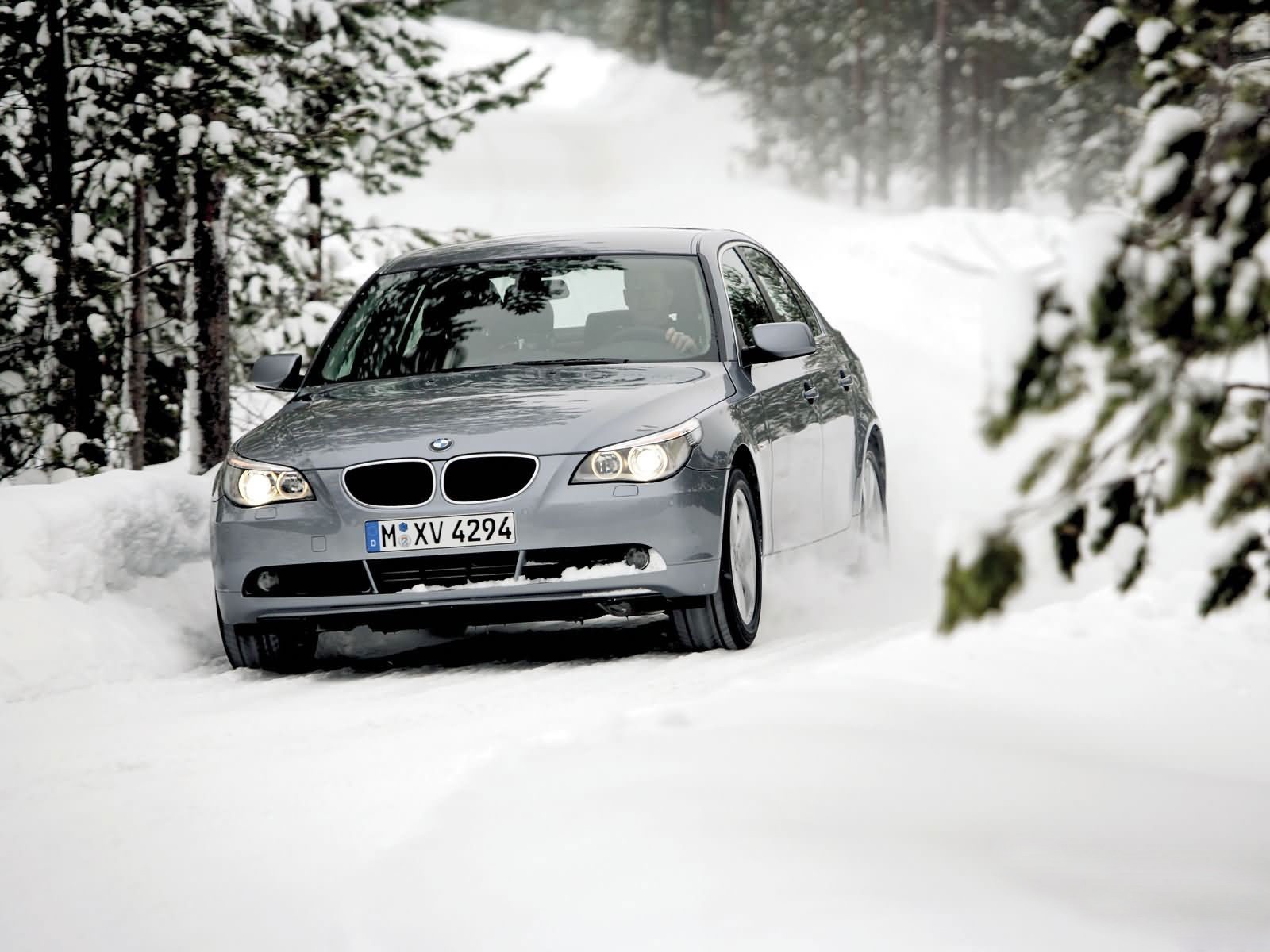 bmw inverno foresta alberi