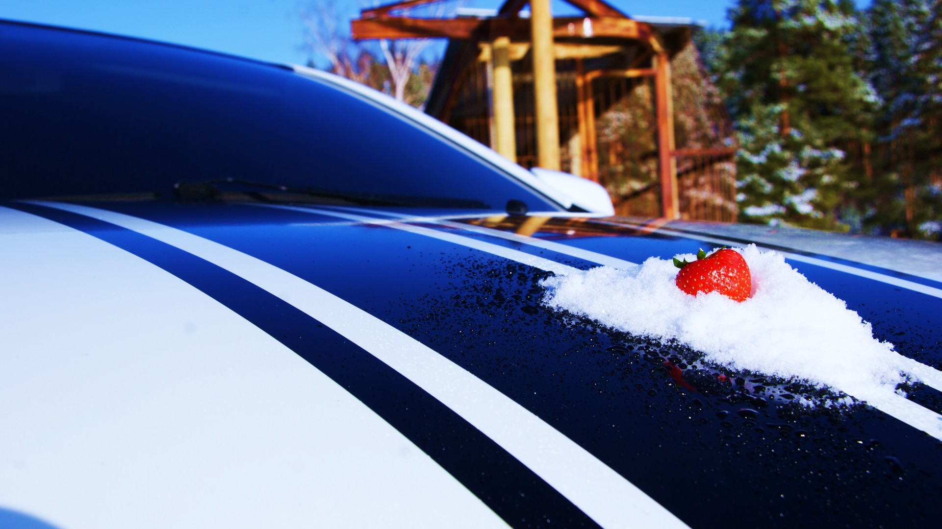 hood strawberry snow close up