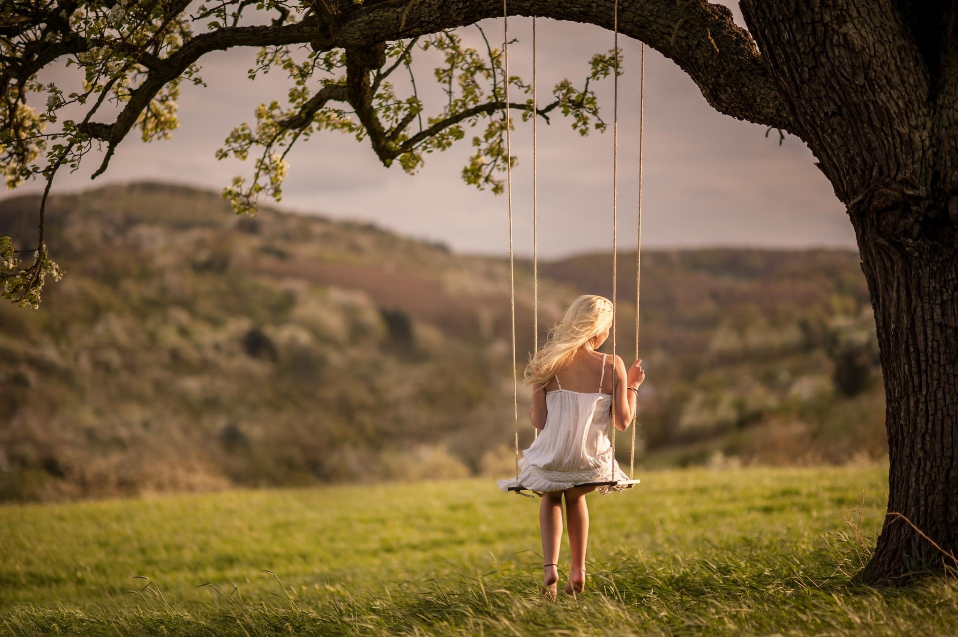 nature girl swing