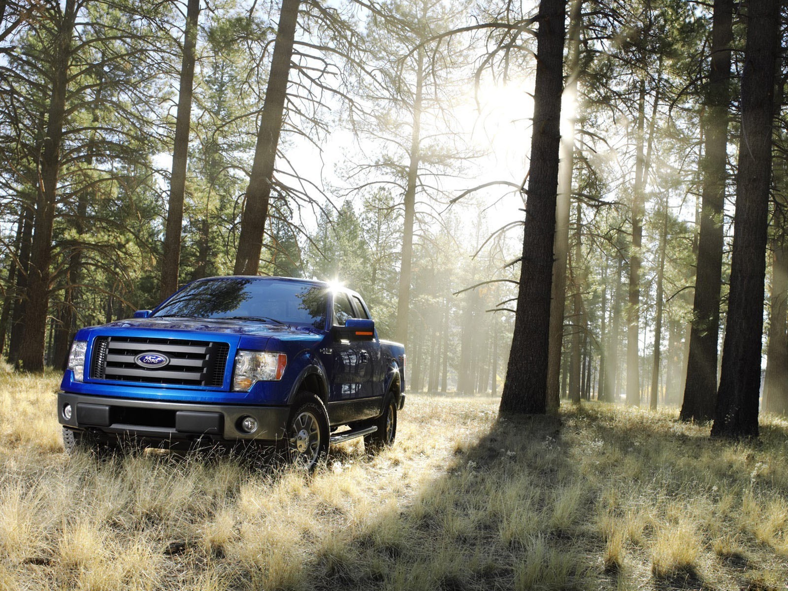 ford truck forest sun