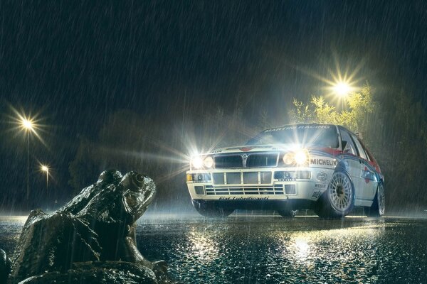 A frog in the rain, illuminated by the headlights. A car that lights up a wet road with headlights