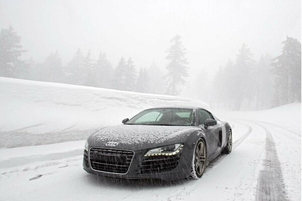 Cette voiture est bonne en été et en hiver