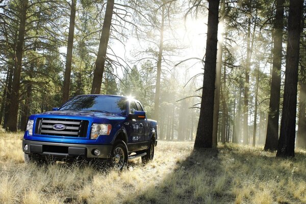 Camioneta Ford azul en el bosque soleado