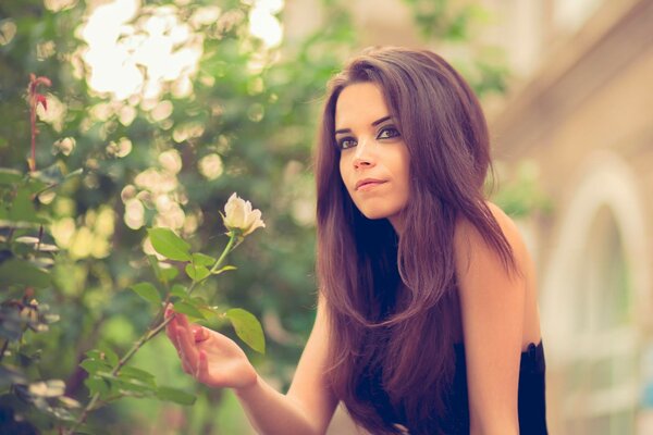 Brown-eyed girl with a rose in her hand