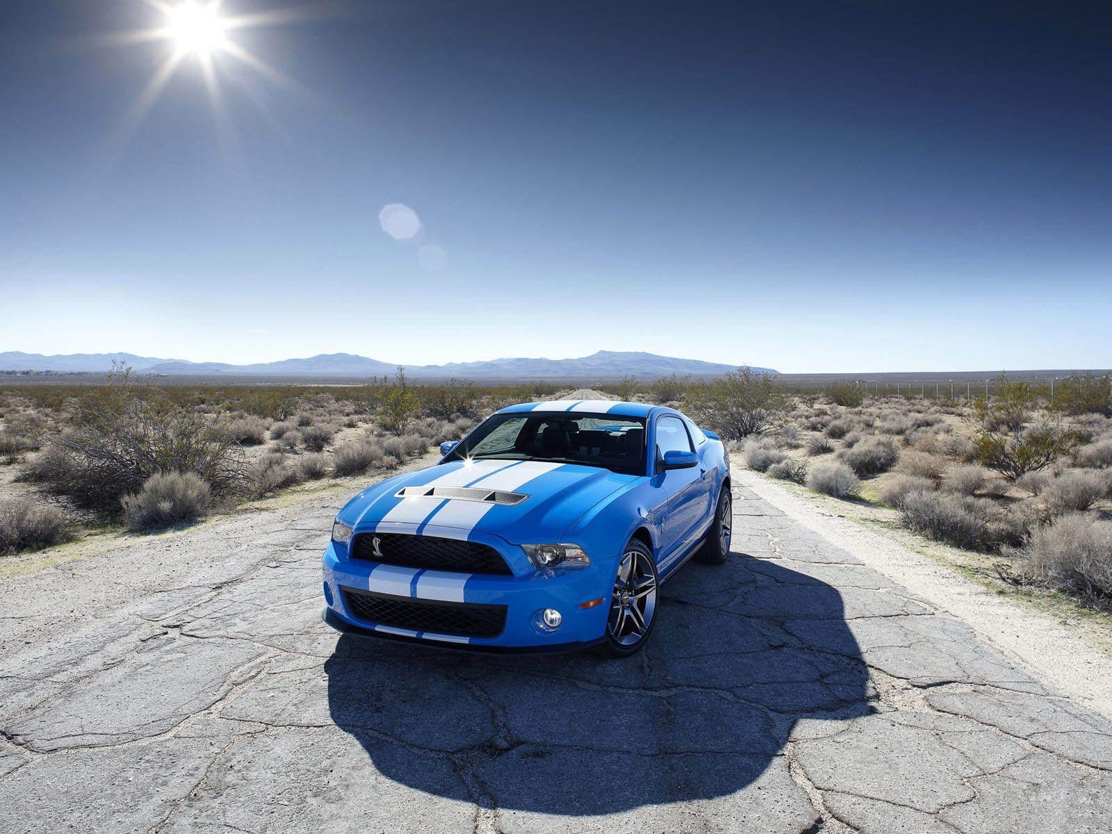 ford shelby gt 500 bleu