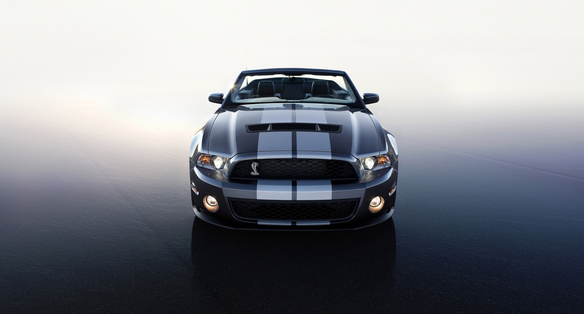 форд шелби gt 500 2010