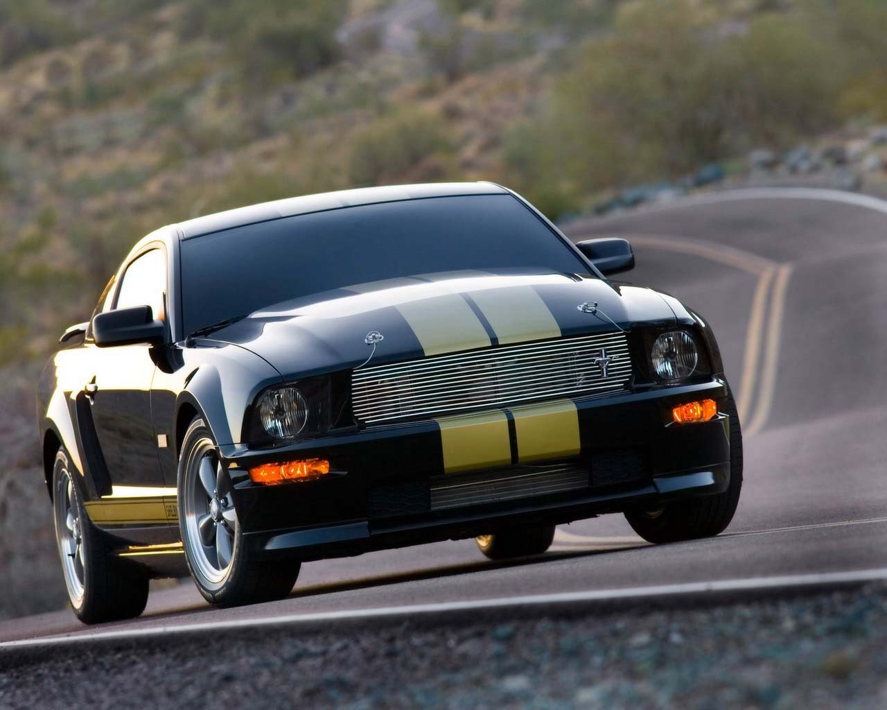 auto mustang strada