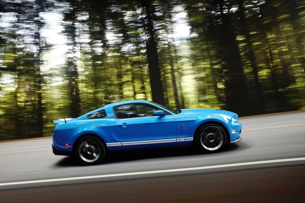 Ford à la vitesse vole sur la route à travers la forêt