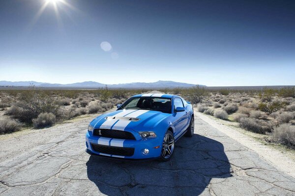 The blue Ford Shelby and the highway in the desert