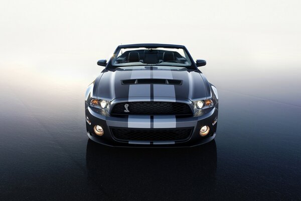 Solo Ford Shelby dt 500 e nient altro