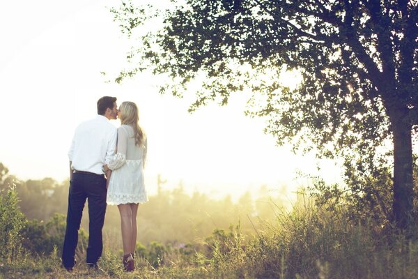 Promenade du soir des amoureux parmi les arbres