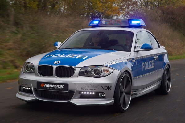 Auto della polizia sulla strada forestale