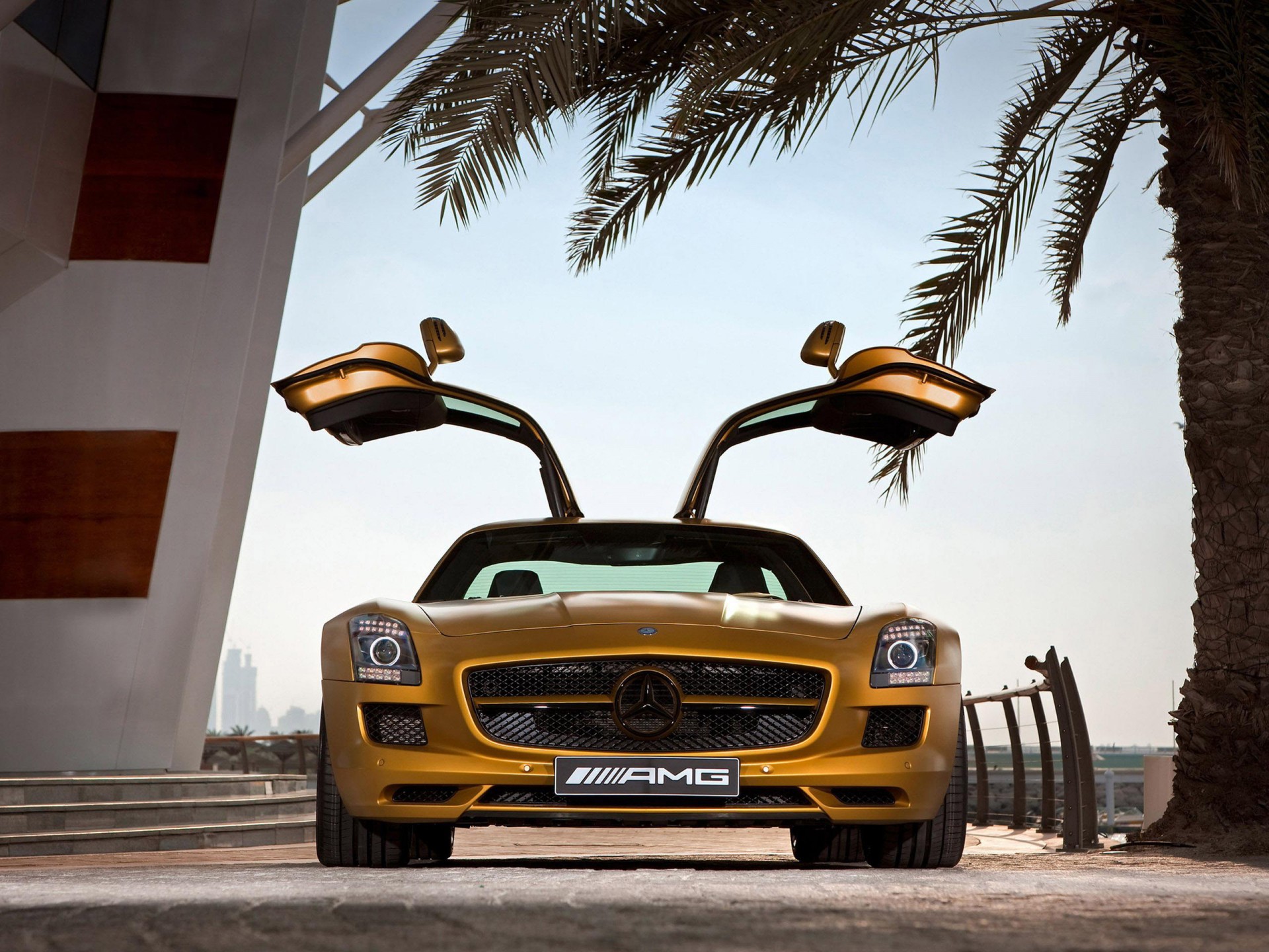 mercedes benz sls amg пустыне gold edition пальма двери золотой ступеньки