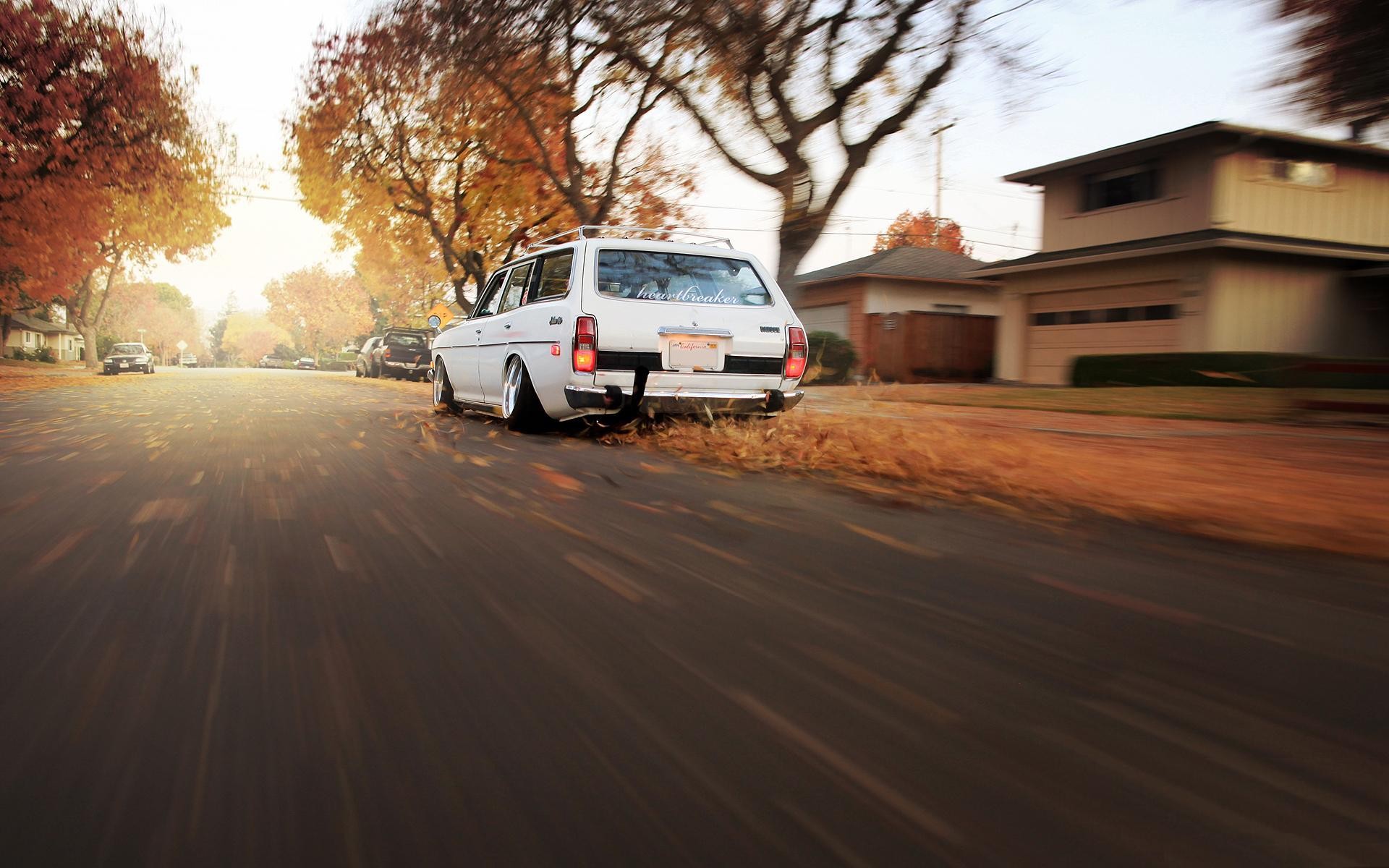 datsun otoño