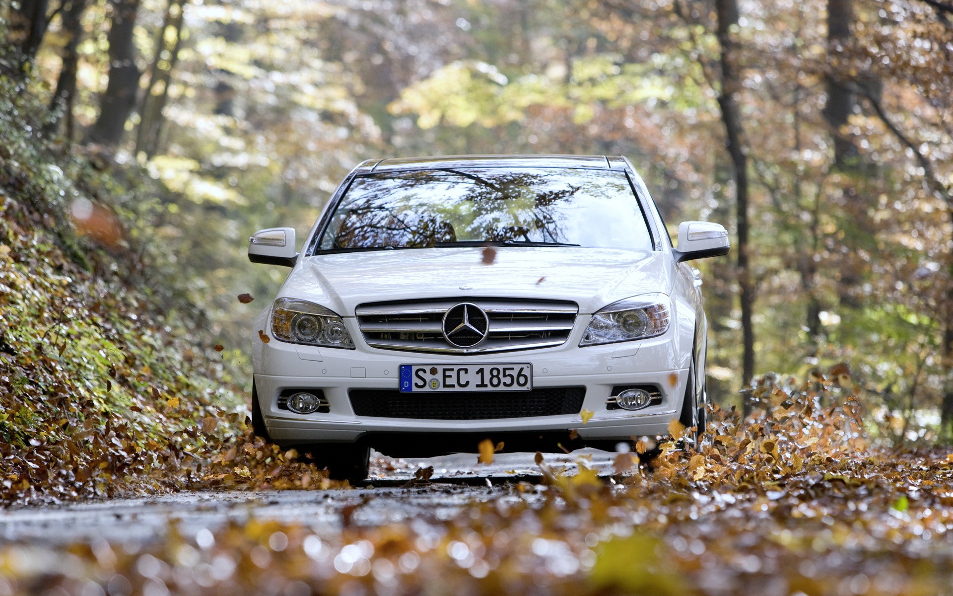 mercedes-benz c350 дорога листва