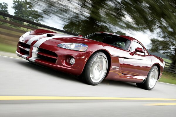 Dodge Viper roule sur la route à grande vitesse