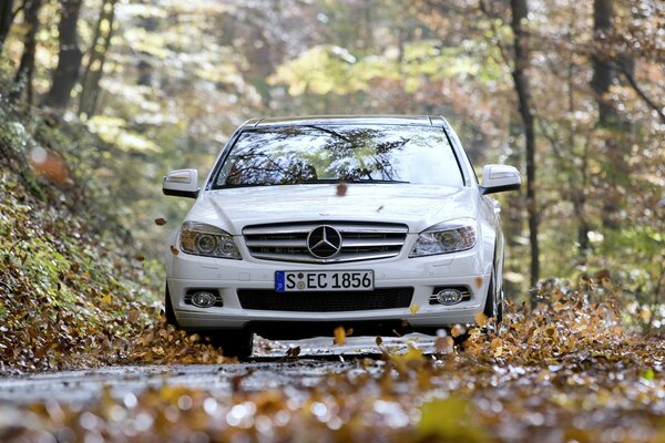 Mercedes-benz c350 jedzie po drodze pokrytej liśćmi