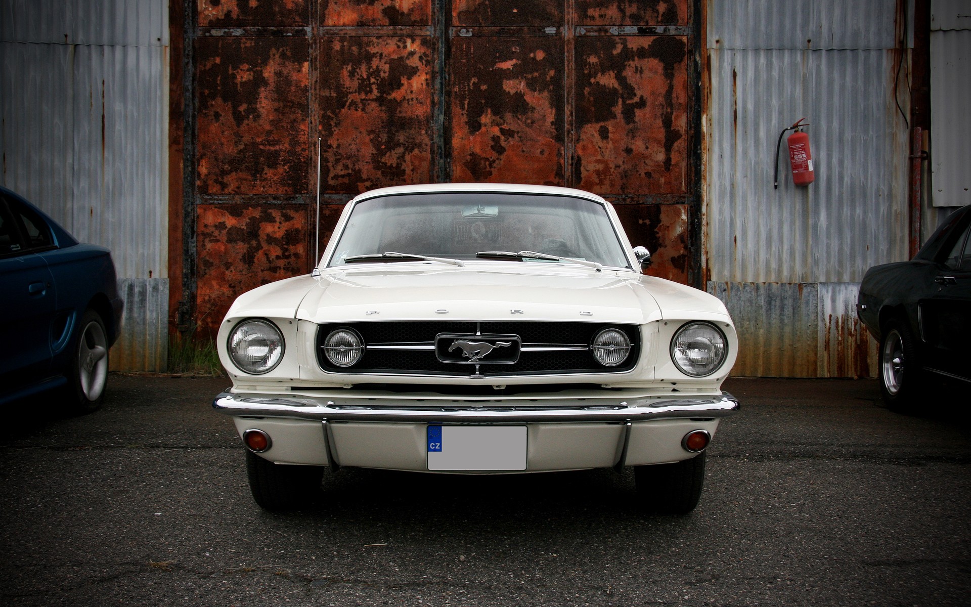 mustang porte blanc