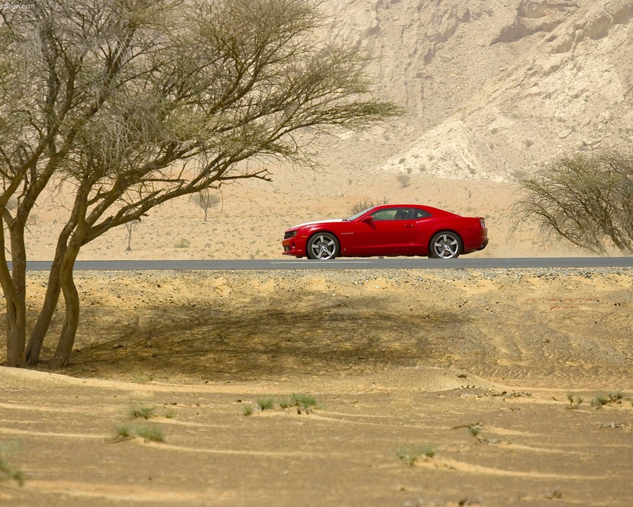 car red desert tree