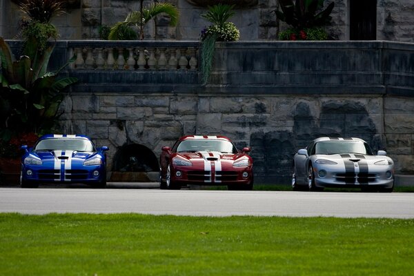 Dodge 3 couleurs parking pelouse verte