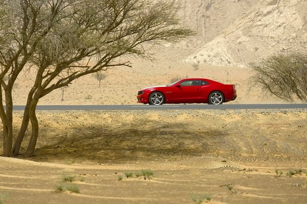 Czerwony samochód na pustyni obok drzewa