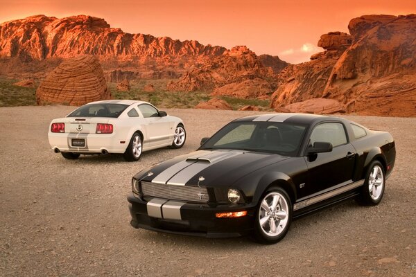 Shelby Mustang en blanco y negro contra el fondo de las rocas