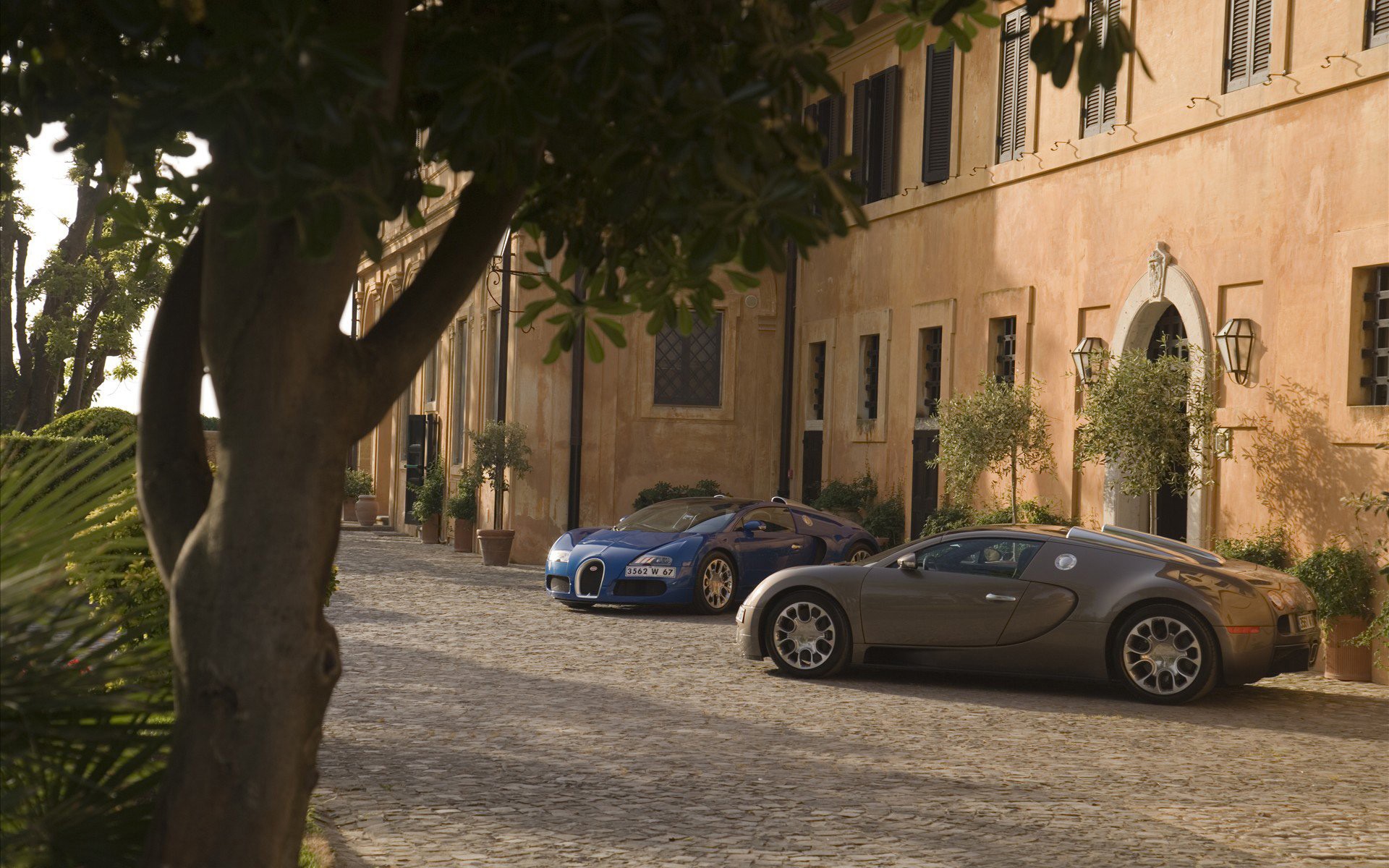 bugatti veyron árbol casa luz