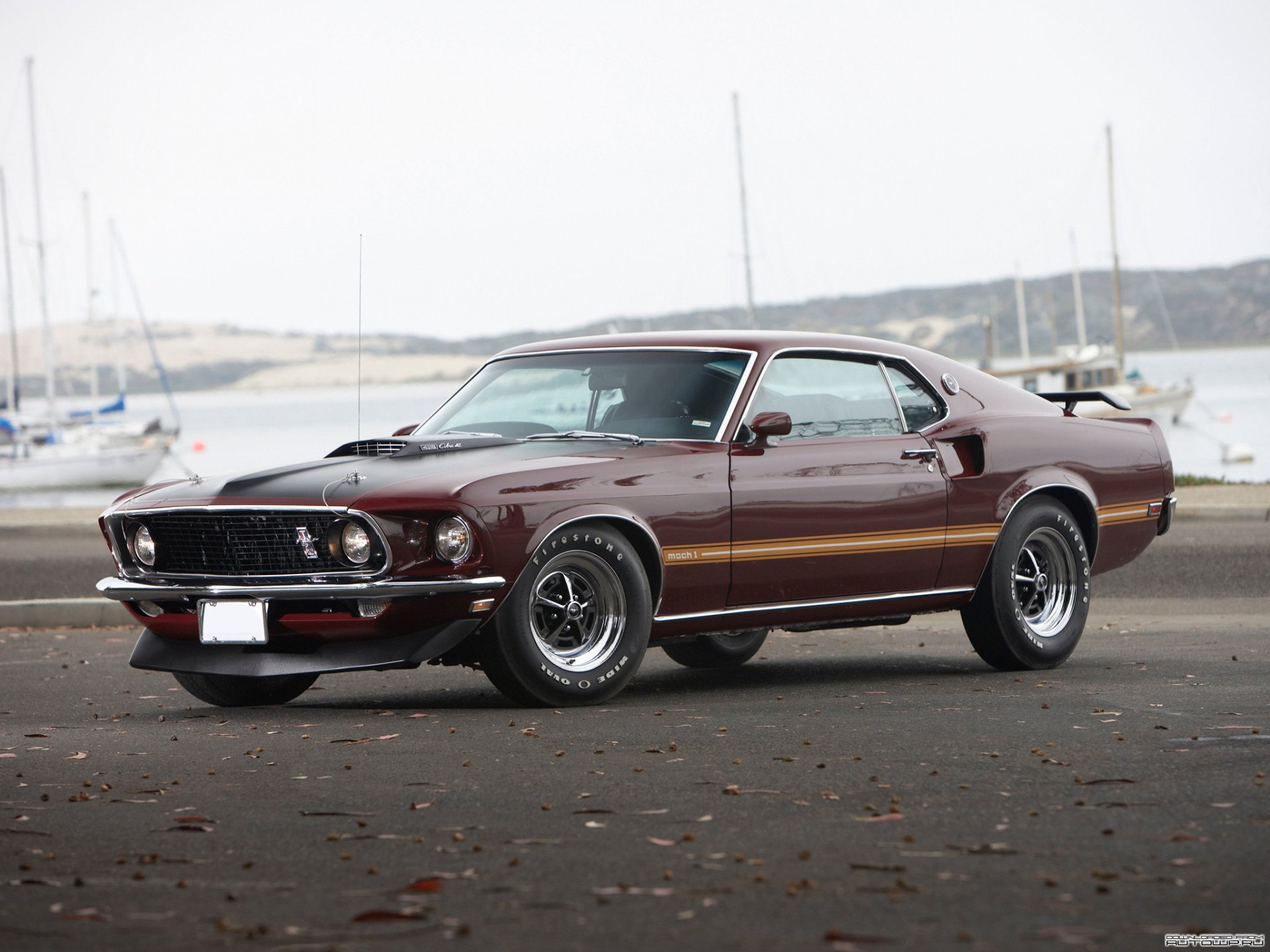 mustang mash coche