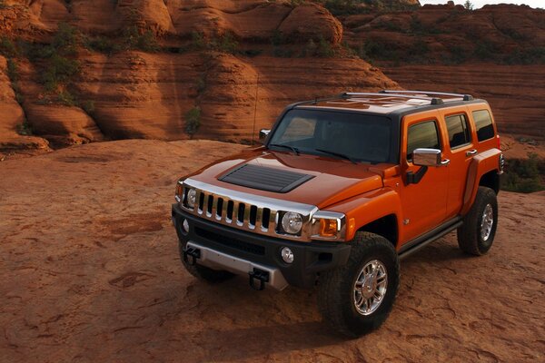 Hummer h3 sur fond de grand Canyon